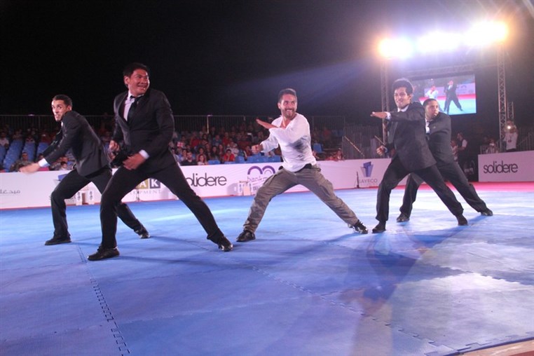 Martial Arts Festival